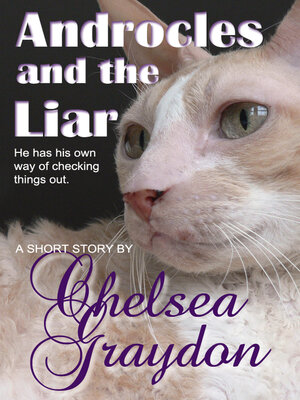 cover image of Androcles and the Liar